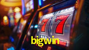 bigwin - Customer Support